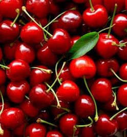 cherry.jpg